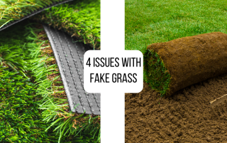 fake grass versus real lawn