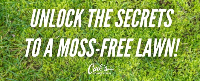 Image of lawn with moss growing in it and text "Unlock the Secrets to a Moss-Free Lawn!"