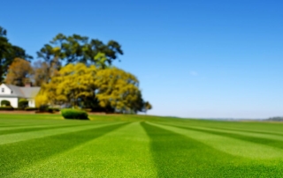 spring lawn renovation tips for a lush and healthy lawn. Image of healthy lawn stripes with a house and some trees in the background