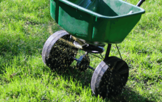 A green fertilizer spreader on a green lawn