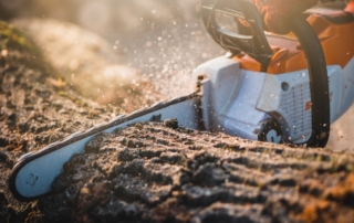 STIHL chainsaw being used to cut through a downed tree