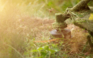 Image of a string trimmer being used to trim grass