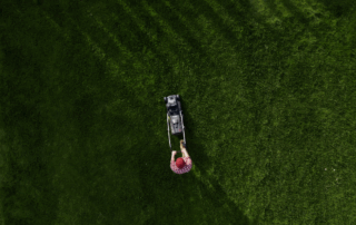 Overhead image of a person mowing a large green lawn with a walk-behind mower