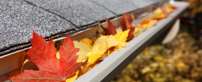 Gutter with fall leaves in it