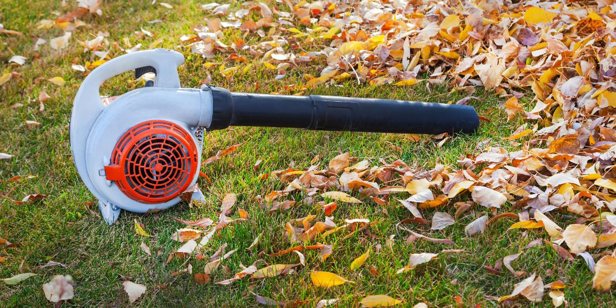 STIHL leaf blower sits in lawn with scattered leaves around it