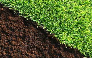 soil types and care tips for Western Washington image of healthy green grass and dark soil